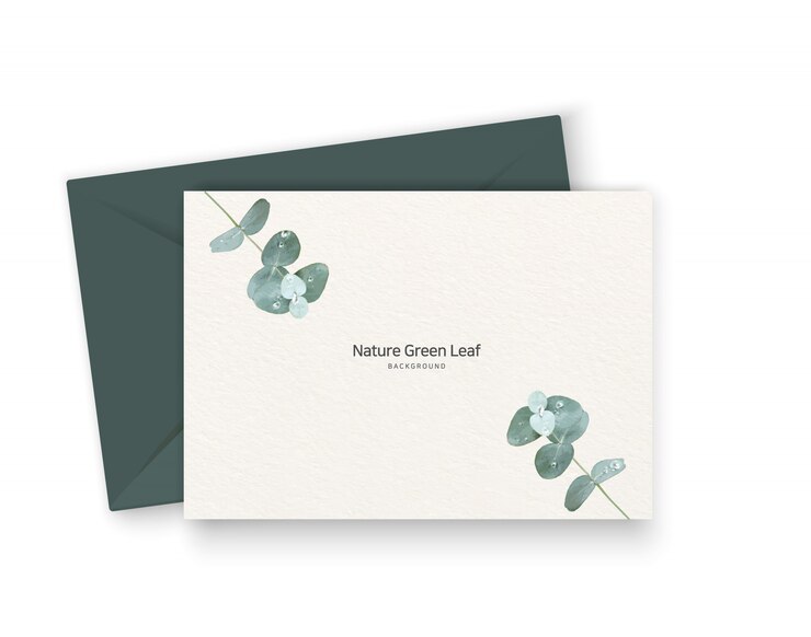 Vecteur plantes et notes d'eucalyptus et gouttelettes d'eau