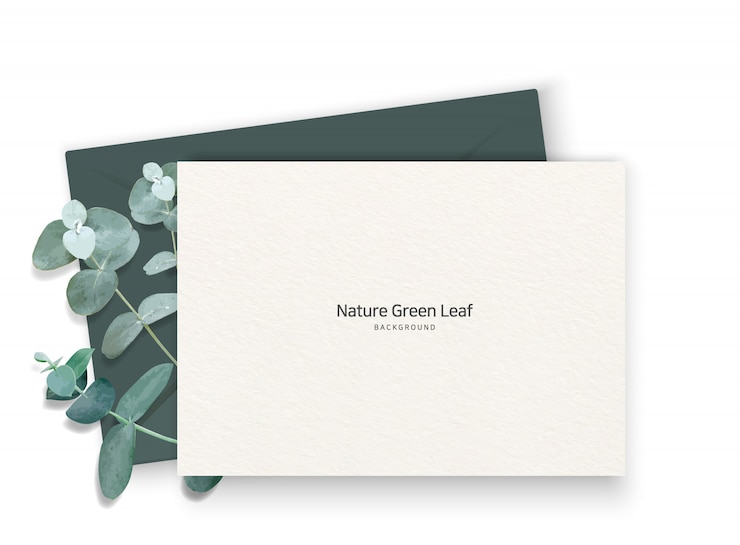 Vecteur plantes et notes d'eucalyptus