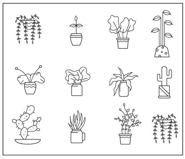 Plantes En Pot Intérieures Et Extérieures Isolées Sur Blanc Vector Set Plante Verte En Pot