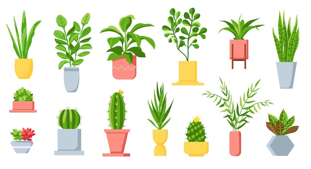 Vecteur plantes en pot. maison tropicale feuilles, arbre, plantes succulentes et cactus. jungle urbaine, jardin vert à la maison dans des pots de fleurs. ensemble de vecteurs de plantes d'intérieur de dessin animé. cactus succulent, plante d'intérieur pour la décoration intérieure