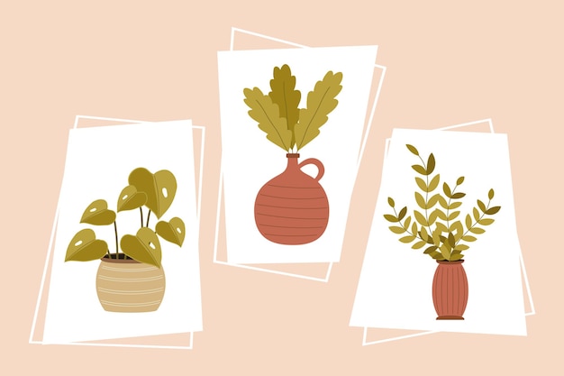 Plantes En Pot Nature