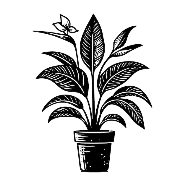 Vecteur les plantes svg