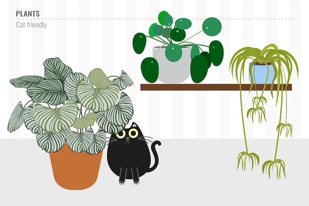 Vecteur plants_cat_friendly