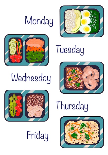 Plats Préparés Dans Des Conteneurs Un Régime Quotidien D'illustration Vectorielle D'aliments Sains Dans Un Style Plat