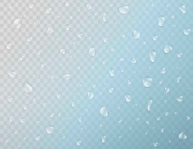 Vecteur pluie gouttelettes d'eau réalistes sur le verre isolé sur un fond quadrillé transparent.