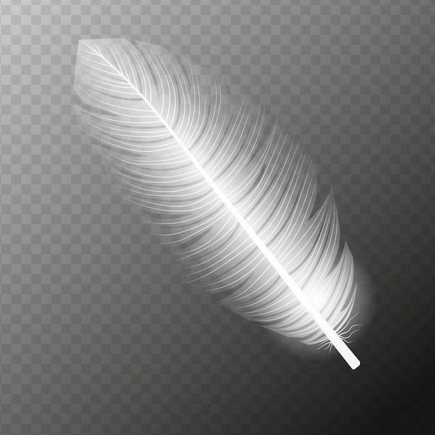 Plume Blanche Volant Vecteur Réaliste Plume Blanche Illustration Vectorielle Isolée Eps