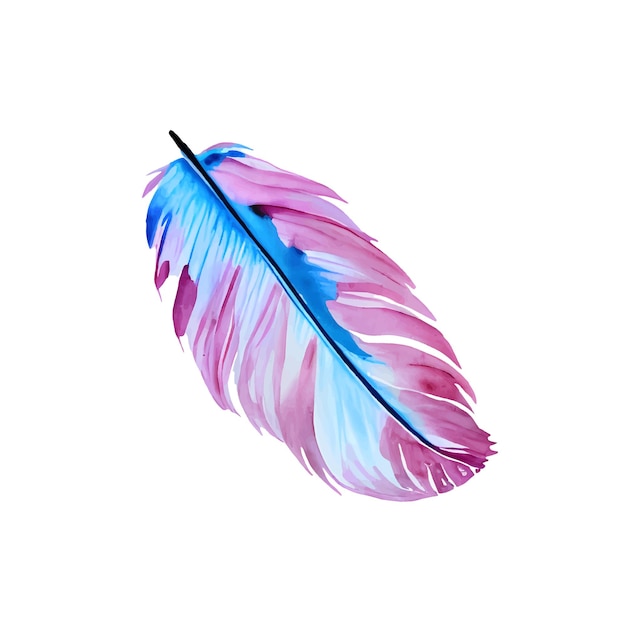 Plume colorée aquarelle de vecteur isolé sur fond blanc Illustration vectorielle