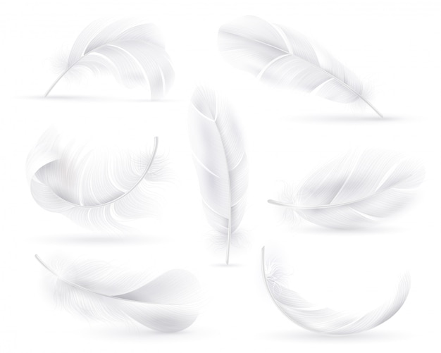 Plumes blanches réalistes. Chute de plumes d'ailes d'oiseaux ou d'anges. Vol, flottant décoratif plume vecteur innocence décoration élément formes panache ensemble isolé