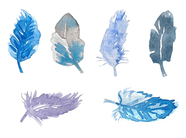 Vecteur plumes bleues