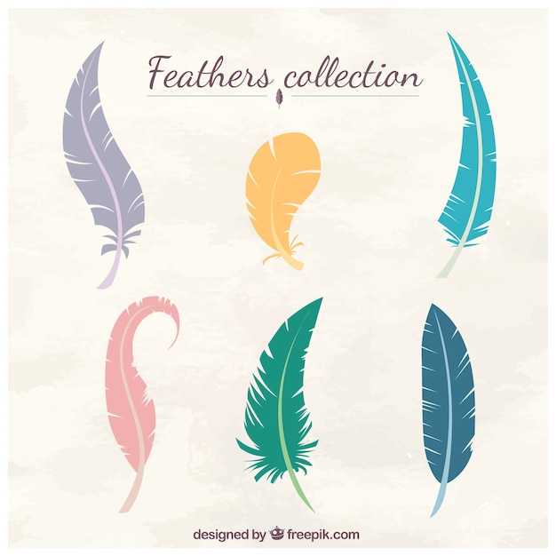 Plumes Multicolores Collection