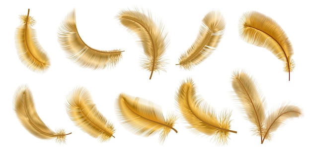 Vecteur plumes d'or moelleuses d'oiseau fantastique 3d réaliste. plume décorative dorée glamour chic. ensemble de vecteurs de plumes douces volantes, tombantes et virevoltantes. illustration de plumage réaliste et pelucheux de plume