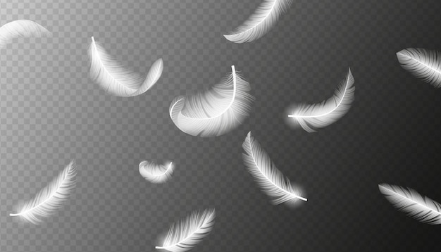 Vecteur plumes réalistes oiseau blanc tombant plume isolée illustration vectorielle réaliste d de la chute