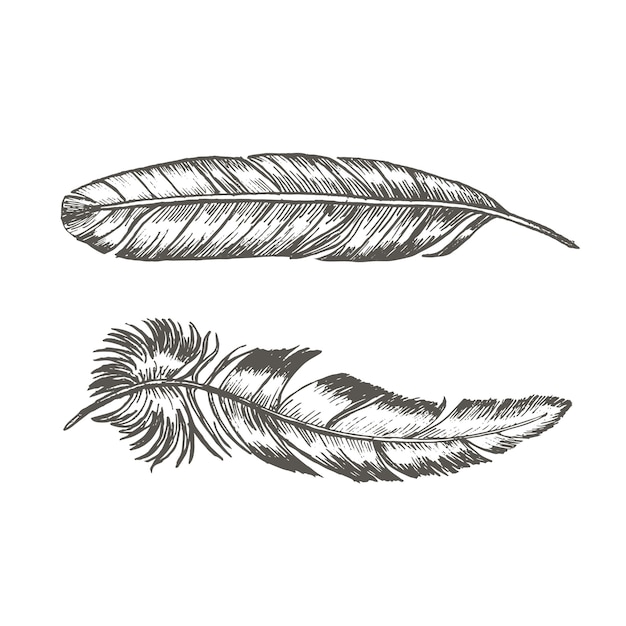 Plumes Set Hand Draw Sketch Trendy Tattoo Template Boho Ou Ethnic Style.