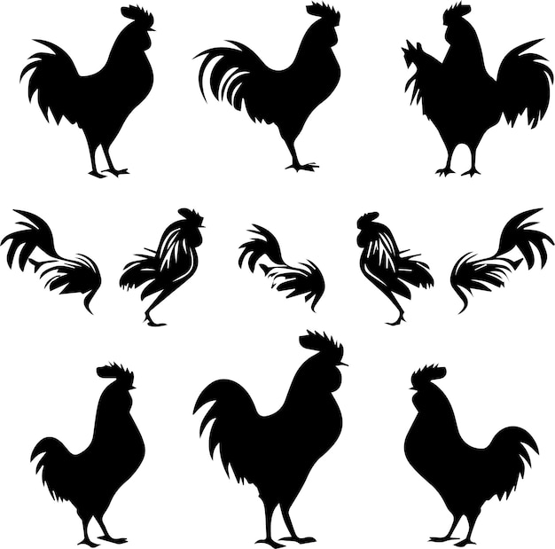 Vecteur les plumes et les troupeaux explorent le monde des poules et des poulets