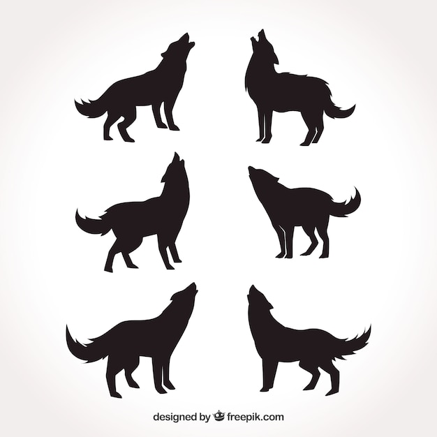 Plusieurs silhouettes de loups