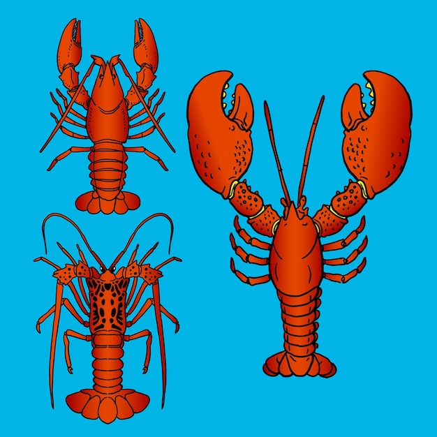 Plusieurs Types De Homard De Couleur Mûre