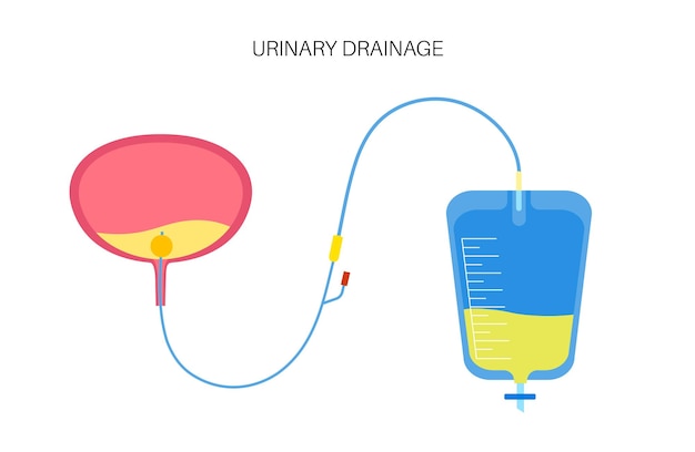 Vecteur poche de drainage urinaire