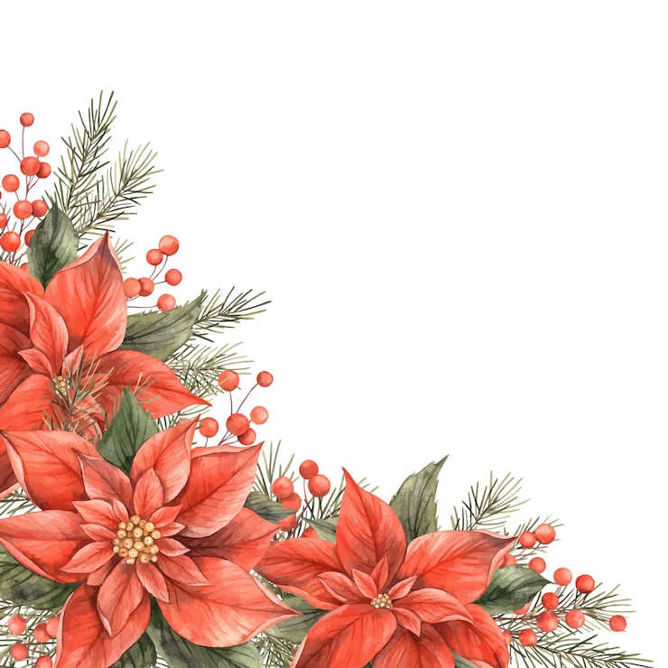 Vecteur poinsettia noël fleur rouge et feuilles vertes aquarelle cadre botanique dans le style de noël tendance florale et végétale dessin pour noël et le nouvel an vacances cartes d'invitation bannières