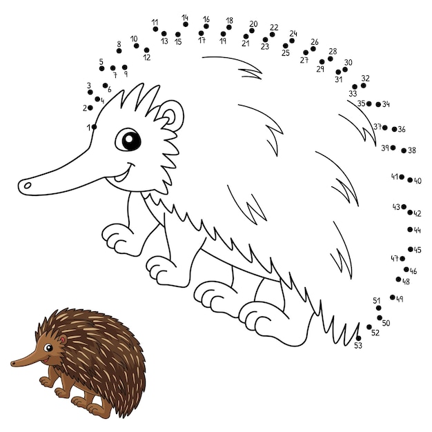 Point à Point Echidna Animal Coloring Page Pour Les Enfants