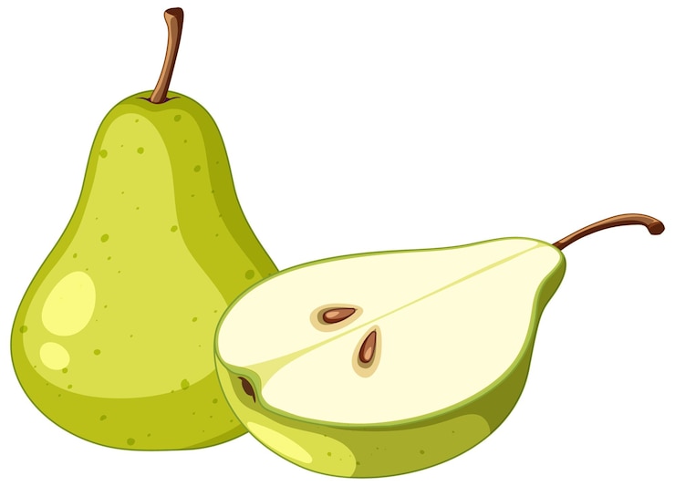 Vecteur poire verte et moitié de poire