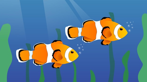 Poisson clown avec un fond d'algues bleues
