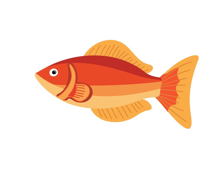 Vecteur poisson doré poisson doré ou poisson orange