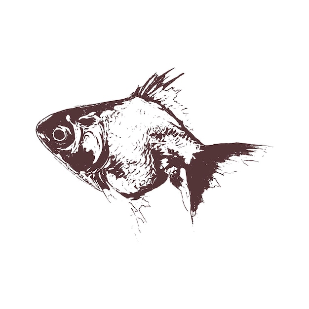 poisson Illustration vectorielle de croquis dessinés à la main