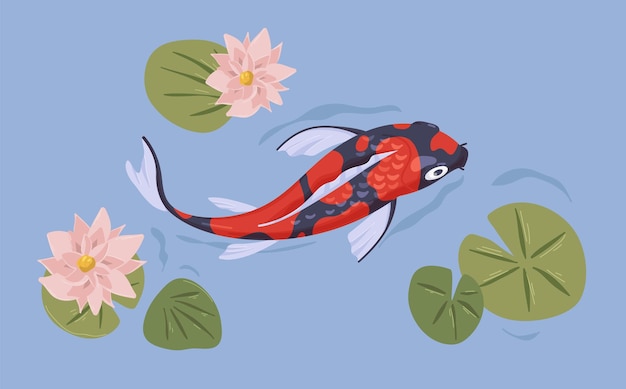 Vecteur poisson koi japonais asiatique nageant dans l'étang. carpe du japon dans l'eau avec des fleurs. vue de dessus de l'animal marin oriental chinois. illustration vectorielle plane colorée du lac oriental.