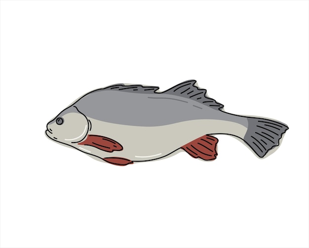 Vecteur poisson de mer