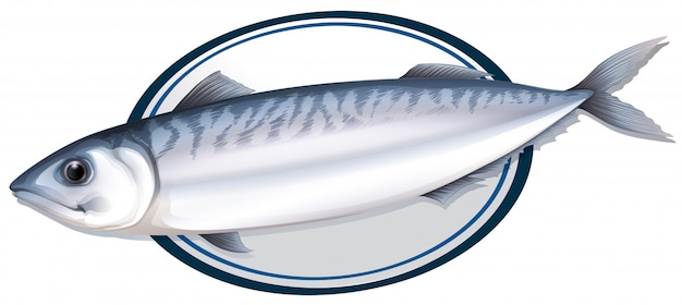 Vecteur poisson de sardine dans une assiette