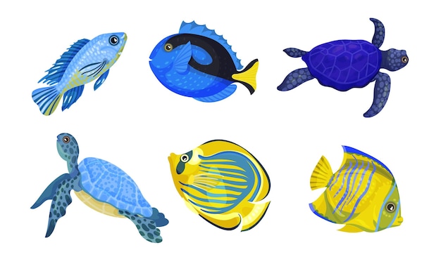 Vecteur poissons et tortues exotiques avec un ensemble de vecteurs de coloration brillante