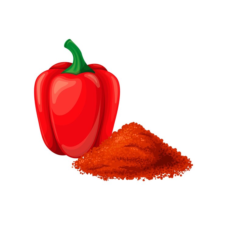 Vecteur poivre, paprika ou poivron. poivron rouge cru, nourriture végétalienne. ingrédient d'assaisonnement aromatique. illustration vectorielle isolée d'épice de capsicum et de paprika.
