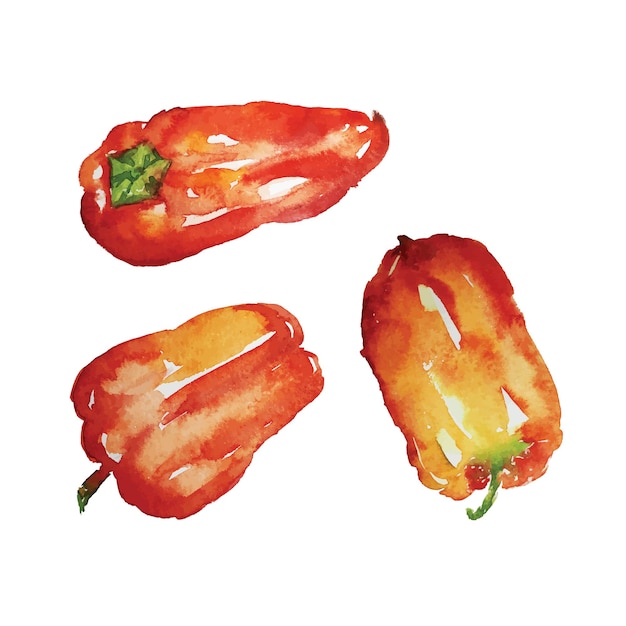 poivrons rouges aquarelle dessinés à la main isolé sur vecteur blanc