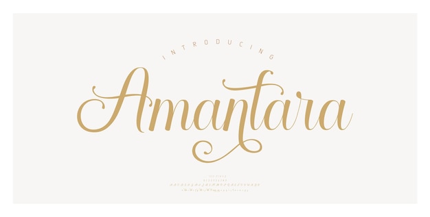 Polices de lettres de l'alphabet de mariage de luxe Typographie élégantes polices serif lettrage classique et numéro rétro vintage décoratif avec illustration vectorielle de queues concept