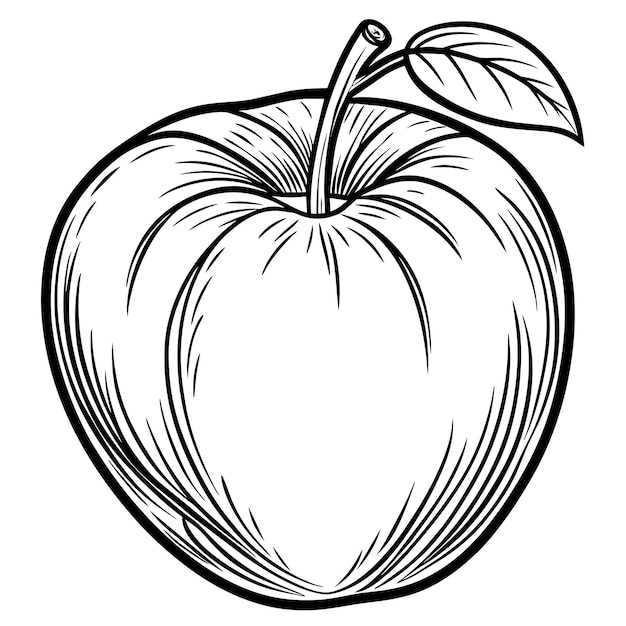 une pomme avec une feuille sur elle qui dit pomme