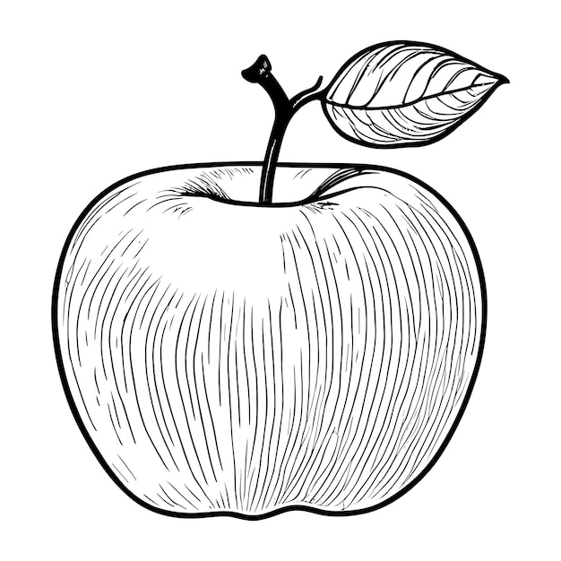 Une pomme avec une tige qui contient une feuille.