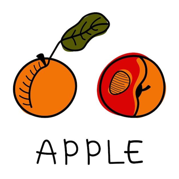 Pommes Isolées Dessinées à La Main Sur Fond Blanc Illustration Vectorielle De Pommes Fruits Alimentation Saine