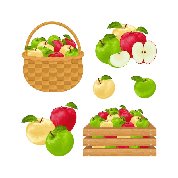Pommes Sertie De Pommes De Couleurs Rouge Vert Et Jaune Pommes Dans Une Boîte En Bois Et Un Panier En Osier Collection De Pommes Illustration Vectorielle