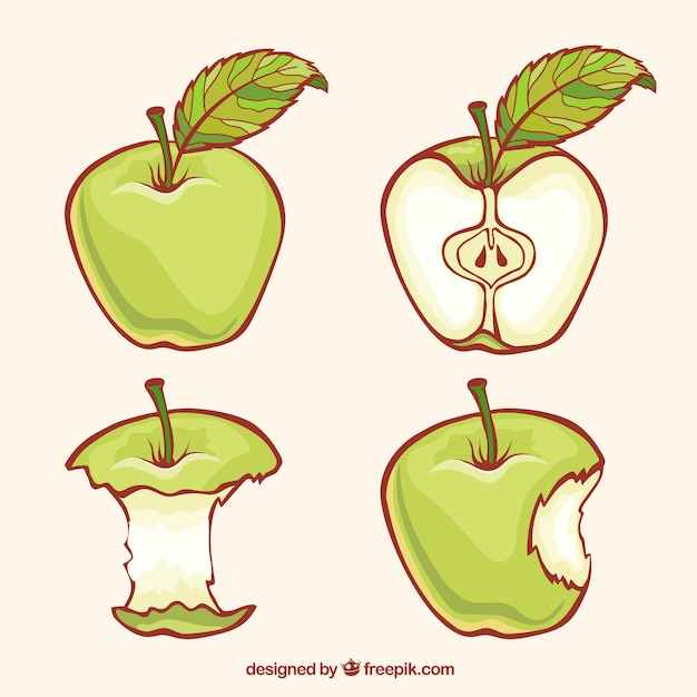 Vecteur les pommes vertes illustration