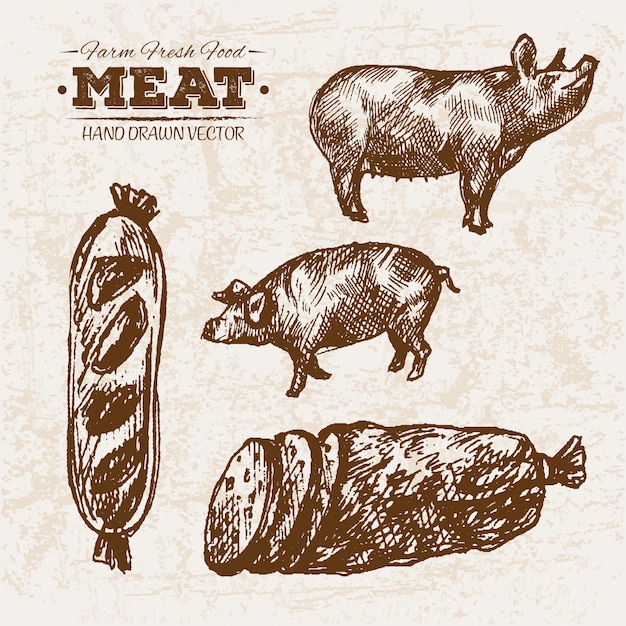 Vecteur porc et saucisses dessinés à la main