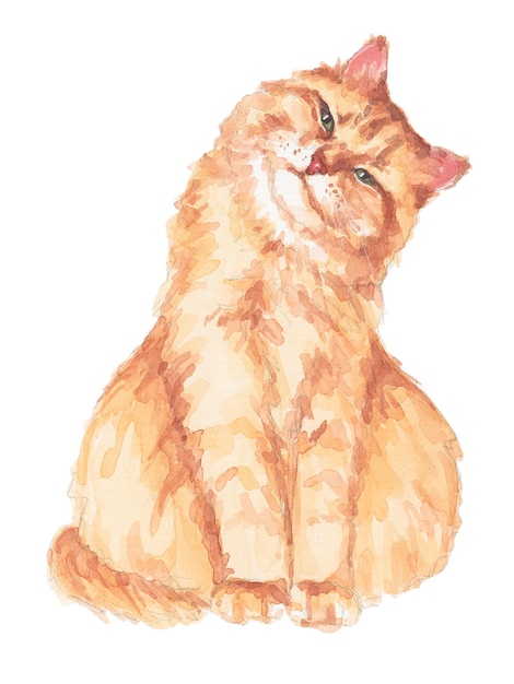 Vecteur portrait aquarelle d'un chat
