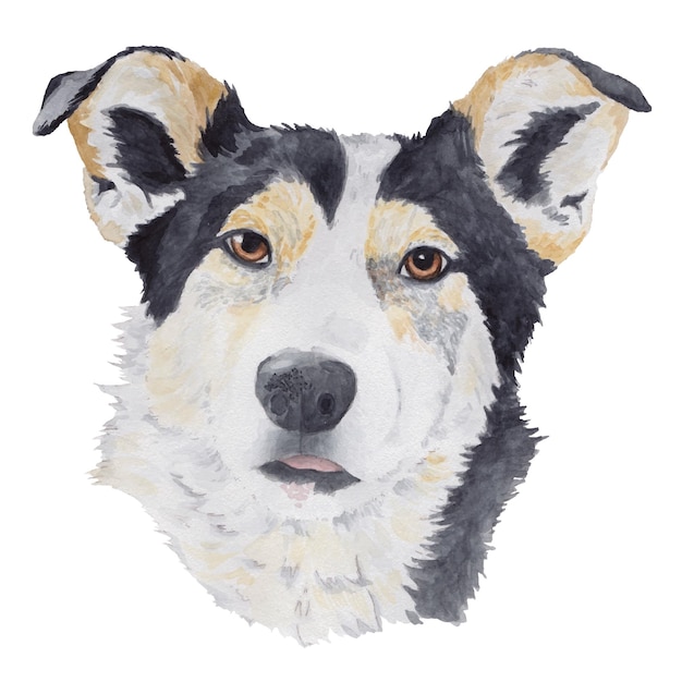 Vecteur portrait à l'aquarelle d'un chien de cour