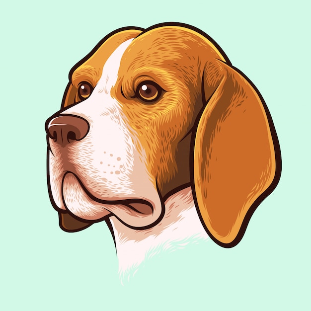 Portrait de chien Beagle