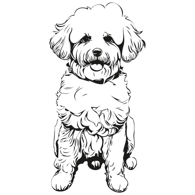 Vecteur portrait de chien bichons frisé en vecteur animal dessin à la main pour illustration de tatouage ou d'impression de t-shirt