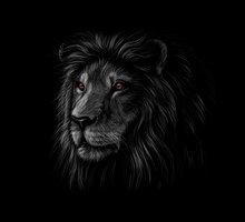 Vecteur portrait d'une tête de lion sur fond noir. illustration vectorielle