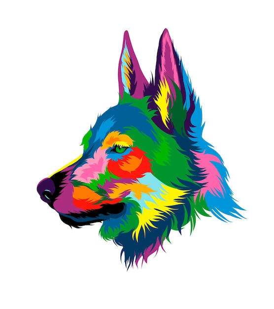 Vecteur portrait de tête de loup de peintures multicolores éclaboussure de dessin coloré à l'aquarelle réaliste