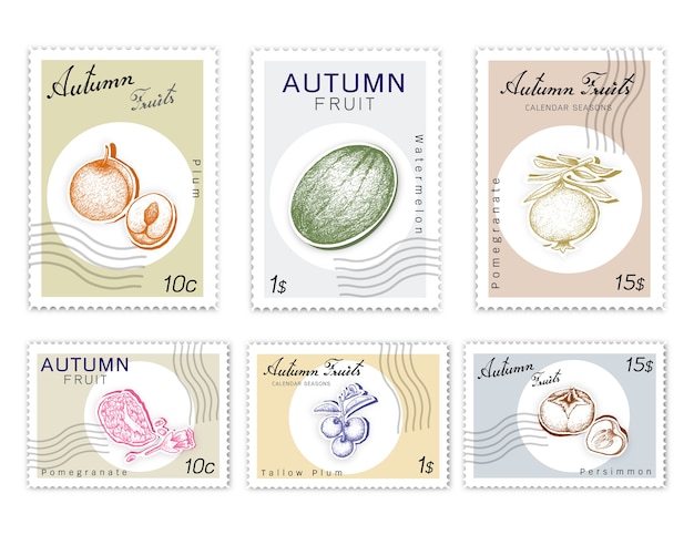 Vecteur post stamps set de fruits d'automne avec du papier découpé