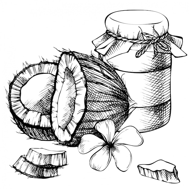 Pot d'huile de coco, lait. croquis dessiné à la main. Croquis d'illustration tropicale. Style vintage