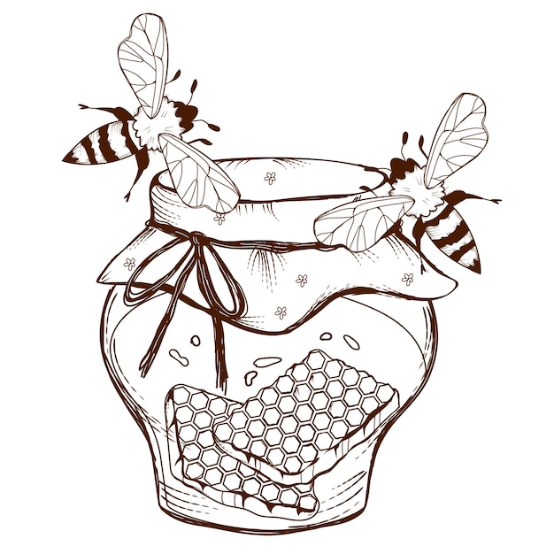 Vecteur pot de miel dessiné à la main avec des nids d'abeilles avec vecteur de gravure d'abeilles