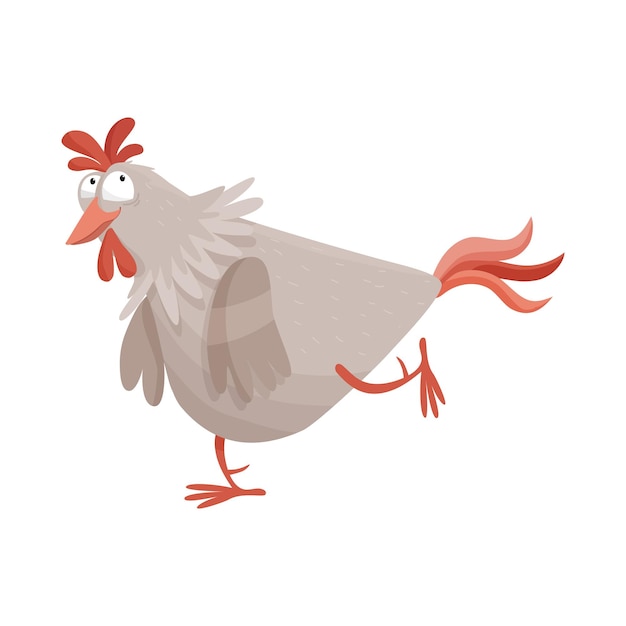 Poule Et Coq Drôles